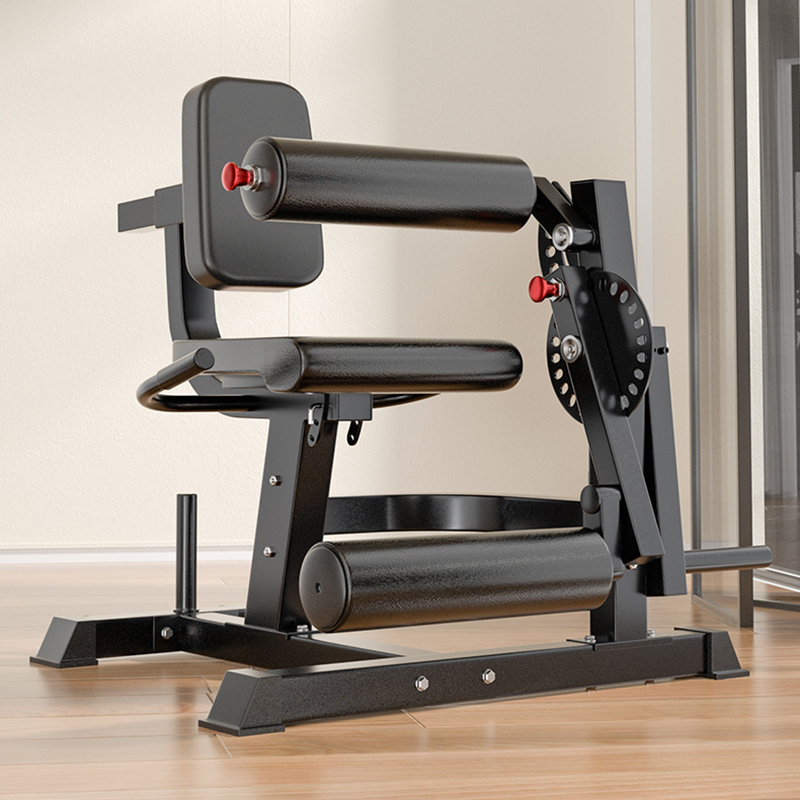 Regulowana ławka treningowa z  – Home Gym Leg Extension Machine recenzja i cena