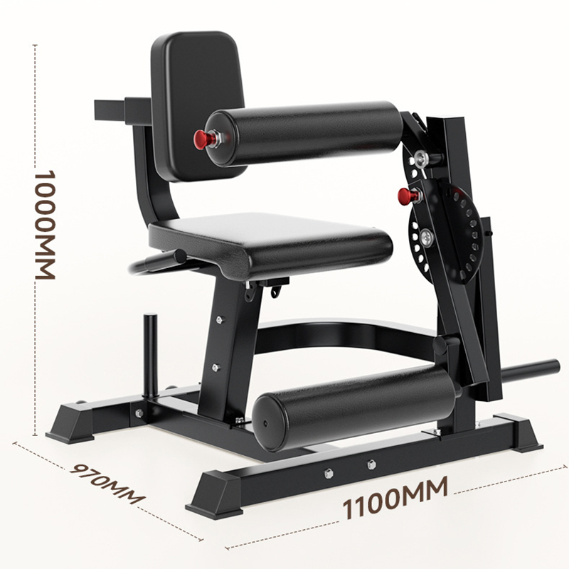 Regulowana ławka treningowa z  – Home Gym Leg Extension Machine recenzja i cena